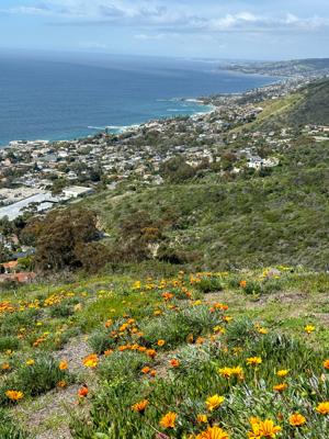 Badlands Park Trail Laguna Niguel 5